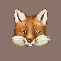 Vintage furry brown fox face vector