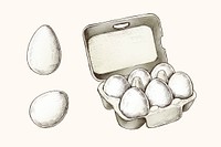 White eggs in a box vector