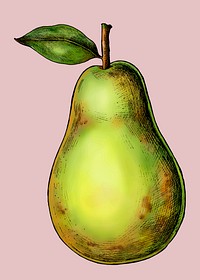 Ripe fresh green pear vector