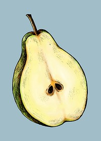 Ripe freshly cut pear vector