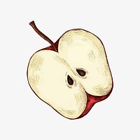 Freshly sliced ripe apple vector