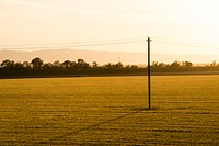 Power lines run through a California farm field, at sunset, near Sacramento, CA, on Wednesday, April 15, 2015. USDA photo by Lance Cheung. Original public domain image from <a href="https://www.flickr.com/photos/usdagov/19589015234/" target="_blank" rel="noopener noreferrer nofollow">Flickr</a>
