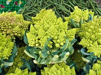 Romanesco broccoli and beans at the Jack London Square Farmers' Market in Oakland, CA, on Sunday, August 9, 2015. USDA photo by Lance Cheung. Original public domain image from Flickr