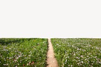 Spring flower field border, nature image psd