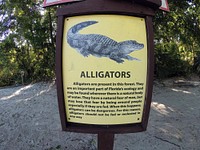 A sign warning of Alligators at the Alexander Springs Recreation Area, Ocala National Forest, Florida. (Forest Service photo by Brandon Fair). Original public domain image from <a href="https://www.flickr.com/photos/usforestservice/27458715627/" target="_blank">Flickr</a>