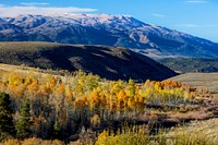 The Conway Summit Area of Critical Environmental Concern (ACEC) is managed by the BLM California&rsquo;s Bishop Field Office, adjacent to U.S. 395, so it offers some of the most accessible and spectacular fall color viewing areas anywhere in California.