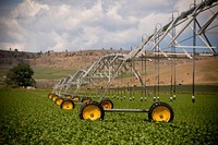 Greg Schlemmer, farmer near Fromberg, Mont., changed his irrigation system from siphon tubes for surface irrigation to a more water efficient irrigation pivot to water his sugar beets in a no-till cropping system.