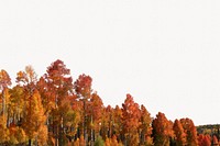 Autumn forest background, nature border design