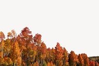 Autumn forest border, nature background psd