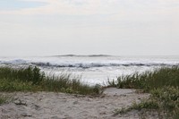 Gloomy beach shore with grass. Original public domain image from Flickr