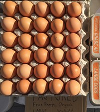 Great Valley Poultry and Metzer Farm from Manteca and Gonzales, California free range chickens who produce organic eggs that are sold at urban farmers markets, such as this one at Jack London Square, near the downtown, marina, railway, ferry dock and port of Oakland, California, on Sept 4, 2016.