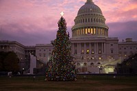 2016 Capitol Christmas TreeET5A9532_