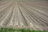Conventionally tilled sugar beet field near Greg Schlemmer's no-till farm. Experienced erosion in March 2018. Carbon County, MT. May 2018. Original public domain image from Flickr