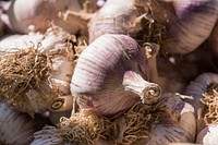 Garlic on sale by vendors at the U.S. Department of Agriculture (USDA) Farmers Market in Washington, D.C., on May 26, 2017.