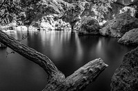 Malibu Creek Rock Pool - BW. Photographed by Volunteer Photographer Connar L'Ecuyer. Original public domain image from Flickr