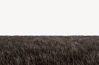 Winter grass field border, nature photo psd