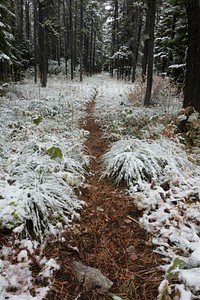 first-snow. Original public domain image from <a href="https://www.flickr.com/photos/glaciernps/37623223882/" target="_blank">Flickr</a>
