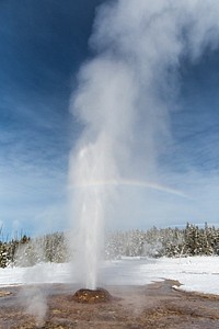 Pink Cone Geyser