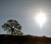 Cronan Ranch, pictured here is under the stewardship of the BLM Mother Lode Field Office and contains 12 miles of trails for hiking, biking, horseback riding, fishing, bird watching and more near Pilot Hill, California.