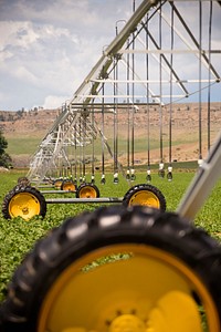 Greg Schlemmer, farmer near Fromberg, Mont., changed his irrigation system from siphon tubes for surface irrigation to a more water efficient irrigation pivot to water his sugar beets in a no-till cropping system.