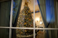 White House Christmas Tree, an 18 1/2 foot Douglas-fir, is seen through a window in the Blue Room of the White House, Dec. 1, 2009.