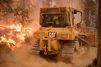 A Cal Fire dozer walking back off the dozer line, post-shift; Ferguson Fire, Sierra NF, CA, 2018. Forest Service Photo by Kari Greer. Original public domain image from <a href="https://www.flickr.com/photos/usforestservice/42145051980/" target="_blank">Flickr</a>