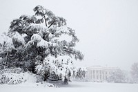 Snow blankets the White House south grounds during a blizzard Feb. 6, 2010.