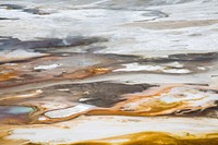 Thermophiles, Norris Geyser Basin. Original public domain image from Flickr
