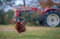 Native American farmer and retired teacher Jerri Parker grew up on in agriculture, but now she operates her diversified farm in Cromwell, Oklahoma.