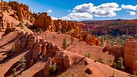 Dixie National Forest, with headquarters in Cedar City, Utah, occupies almost two million acres and stretches for about 170 miles across southern Utah. It straddles the divide between the Great Basin and the Colorado River.