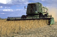 harvesting soybeans. Original public domain image from Flickr