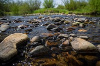 The efforts by the Natural Resources Conservation Service (NRCS) and the Huntley Ranch have focussed on preserving the Arctic Grayling, increasing riparian areas and managed grazing practices.
