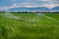 The Flikkema farm sits on approximately 600 acres of land in the Amsterdam/Churchill area near Bozeman. Photo taken June 14, 2019 in Gallatin County, Montana.. Original public domain image from Flickr