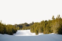 Pine forest border, winter landscape image psd