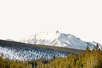 Pine forest border, winter landscape image psd