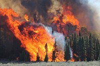 Prescribed fire at Fishlake National Forest, Utah. (Forest Service by John Smith). Original public domain image from Flickr