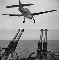 Navy Avenger Takes Off For Saipan - Seen over the barrels of 40mm anti-aircraft guns on a U.S. aircraft carrier, this Navy Grumman Avenger is off for Saipan - to live up to its name by bombing the enemy stronghold in the Marianas.