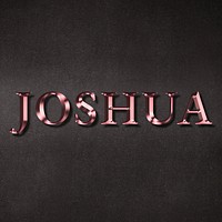 Joshua typography in rose gold design element