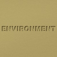 Environment word paper cut font shadow typography