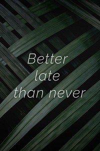 Better late than never quote on a palm leaves background