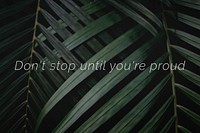 Don&#39;t stop until you&#39;re proud quote on a palm leaves background