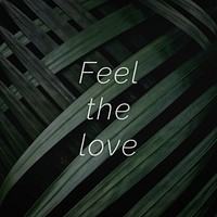 Feel the love quote on a palm leaves background