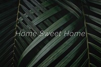 Home sweet home quote on a palm leaves background