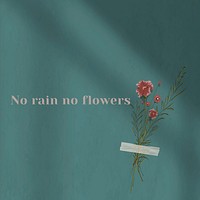 No rain no flowers inspirational quote on wall