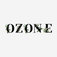 Botanical OZONE text black typography