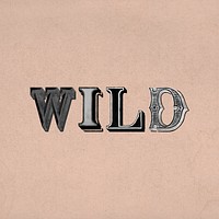 Wild shadowed word retro typography