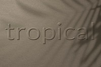 word tropical embossed typography design