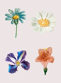 Vintage flower  set hand drawn illustration