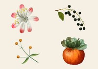 Flower vector set hand drawn illustration