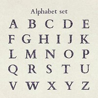 Floral purple alphabet letter vector set on beige